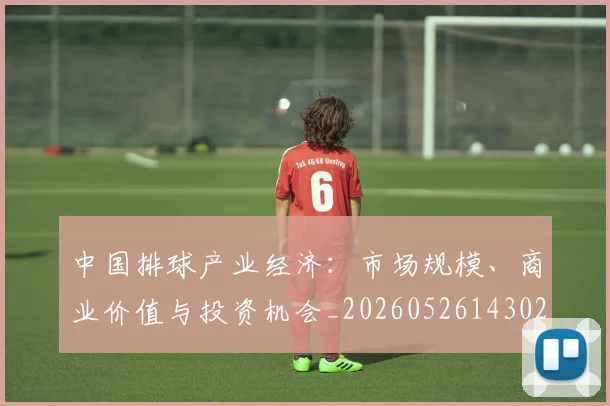 中国排球产业经济:市场规模、商业价值与投资机会_20260526143026