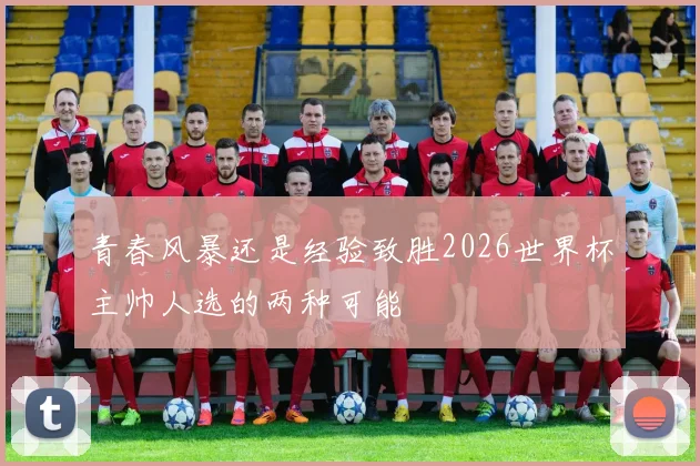 青春风暴还是经验致胜2026世界杯主帅人选的两种可能