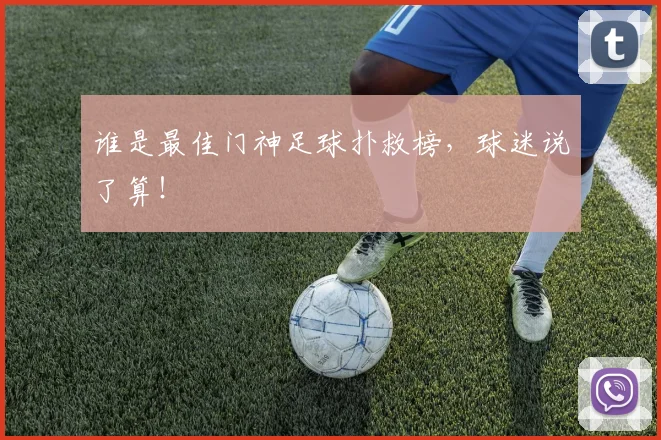 谁是最佳门神足球扑救榜,球迷说了算!